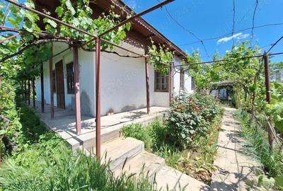 Casă cu 6 camere cu Teren 1668 Mp în Stăncuța