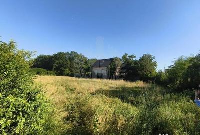 Teren în Păulești - 6