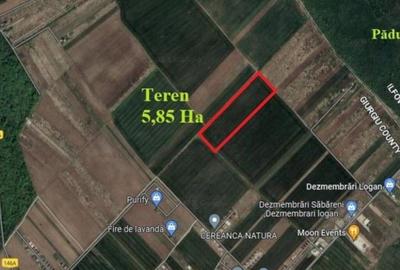 Sabareni, teren intravilan construibil 5,85 ha, intre ... Sabareni, teren intravilan construibil 5,85 ha, intre ... - 1