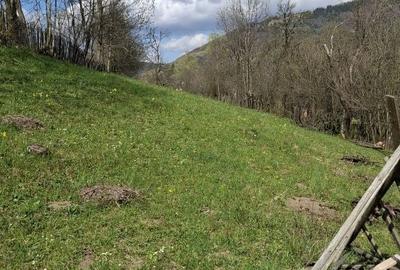 Spațiu comercial, în Valea Doftanei - 2