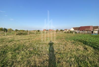 Teren Construcții intravilan de 400 mp, în Șura Mică - 3