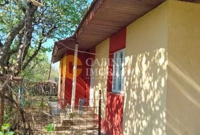 Casă individuală cu 3 camere cu Canalizare în Prisăcani - 3