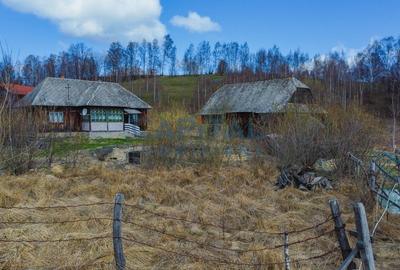 Teren  CABANA/CASA, 10450 mp cu utilitati, Valea Fericirii, zona Rasca/Belis - 5