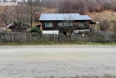 Casă cu 3 camere cu Teren 4900 Mp în Central - 10