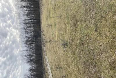 Teren de 950 mp, în Central - 5