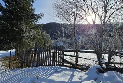 Teren Construcții intravilan de 3200 mp, în Est - 3