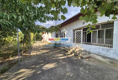 Potigrafu | Miroslavesti | Casa | 120 mp | Teren 1660 mp - 3
