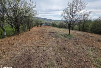 Spațiu comercial, în Bârsău - 13