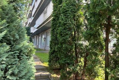 Spatiu comercial V.Alecsandri ,120 mp ,ideal activitati comerciale /cabinete - 2