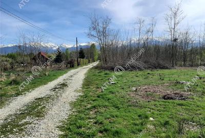 Teren intravilan 2700 mp pe Valea Avrigului localitate Avrig - 2