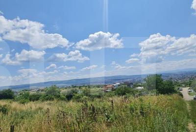 Teren, 1000 mp, Iris