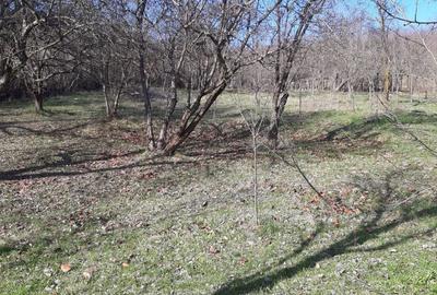 Casă cu 4 camere în Vâlcănești - 5