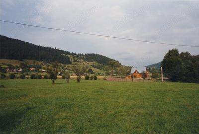 Teren de 7000 mp, în Lunca - 3
