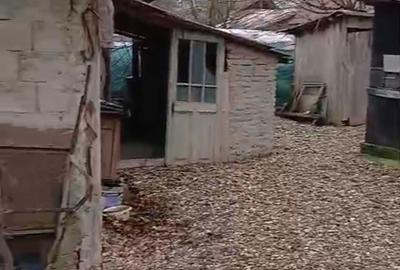 Casă cu 4 camere în Ologeni - 8