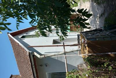 Vand casa dominanta - 9