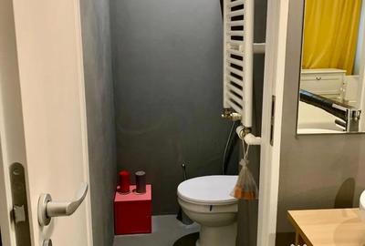Apartament cu 2 camere semidecomandat, mobilat în Herăstrău - 2