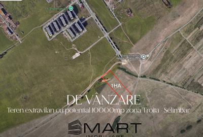 Teren extravilan 10000mp zona Mihai Viteazul - Avangarden Teren extravilan 10000mp zona Mihai Viteazul - Avangarden - 1