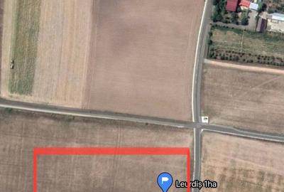 Teren de 30000 mp, în Slobozia (Schitu Duca) - 5
