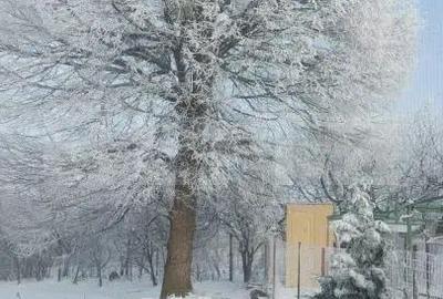 Casă cu 4 camere cu Teren 629 Mp în Central