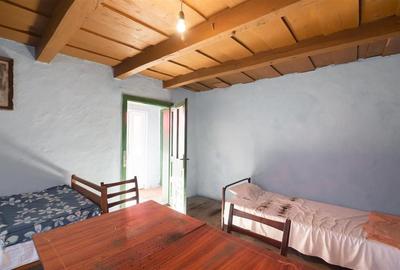 RECO Casa de vacanta la Holod- langa padure- teren 2190mp - 26