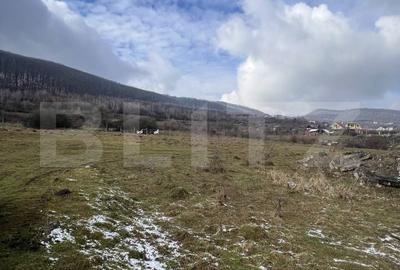 Teren de 2000 mp, în Viișoara