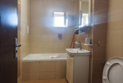 FALEZA NORD 2 CAMERE 400 EURO TERMEN LUNG - 10