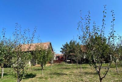 Proprietate in Nojorid zona centrala - 16