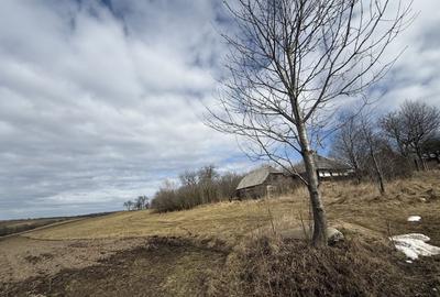 Teren Construcții intravilan de 1556 mp, în Horodnic de Jos - 3