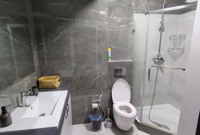 Apartament cu 2 camere de inchiriat in zona Aviatiei - 3