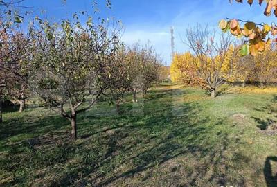 Teren de 6360 mp, în Măgurele - 2