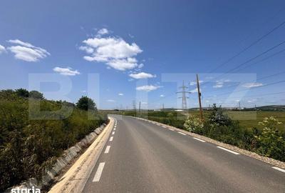 Teren de 5000 mp, în Miroslava