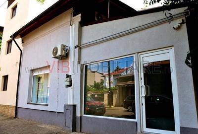 Studio -Banu Manta -Victoriei - 4