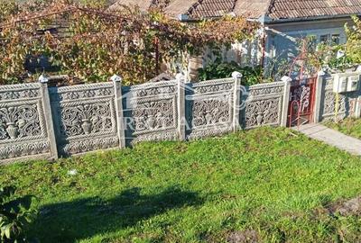 Casă cu Teren 15000 Mp în Central - 3