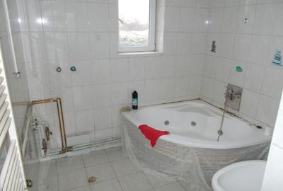 Casa batraneasca,  parter,  Dudestii Noi, 5 camere, teren 870mp - 8