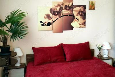 Apartament cu 2 camere, etajul 4/4, zona Podu Ros - 4