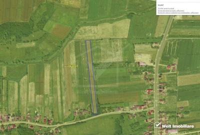 Teren 6200 mp, Fundatura, ferit de drumul principal - 1