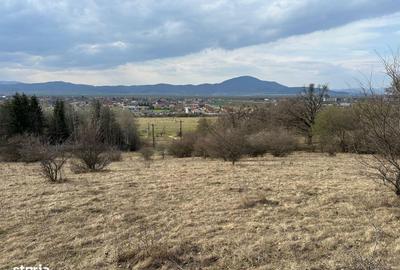 Teren de 6000 mp, în Cristian - 3