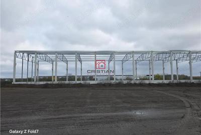 Vanzare depozit hala spatiu industrial Mogosoaia - Buftea - 4