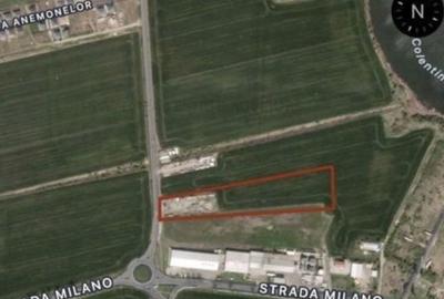 Teren de 12350 mp, în Buftea - 3