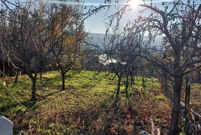 Casă cu 3 camere în Huși - 3