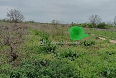 Teren 2000 mp--Pozitie excelenta-Mihailesti-Centru-Deschider - 1