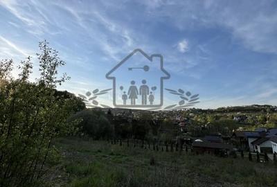 Teren la poalele Cetății Cisnadioarei de vânzare/1250 mp Teren la poalele Cetății Cisnadioarei de vânzare/1250 mp - 7