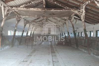 Teren Construcții intravilan de 13134 mp, în Budiului - 9