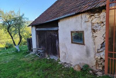 Teren 800 mp in Sarmizegetusa, cu anexa veche (demolabila), u?or in panta - 2
