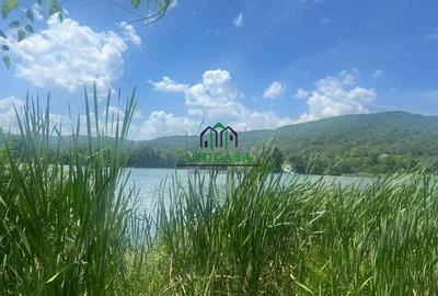 Teren Fedelesoiu/3200 mp/Intravilan - 4