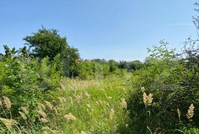 Teren Intravilan de vanzare, 1500 Mp, zona Rahova - 1