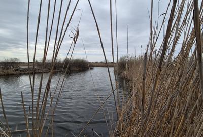 Teren 2500 mp – Izvorani | Deschidere directa la lac - 7