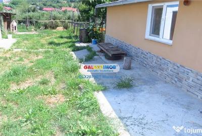 Casă cu 3 camere cu Teren 5000 Mp în Central - 3