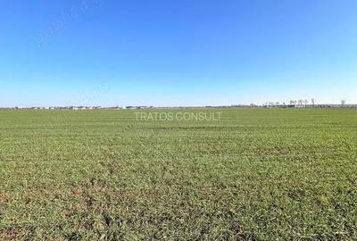 Teren de 708 mp, în Central - 3