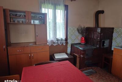 Casă cu 4 camere cu Teren 2651 Mp în Baia de Criș - 3